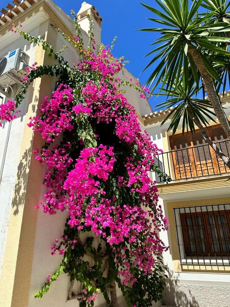 Casa Veratense Vera Playa Appartement *