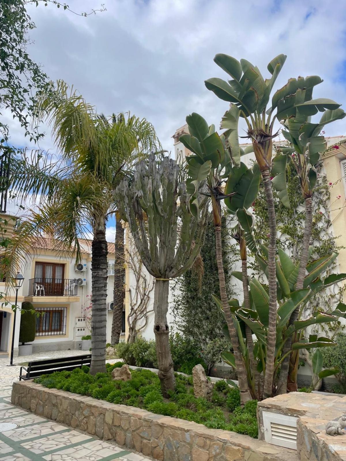 Appartement Casa Veratense Vera Playa *